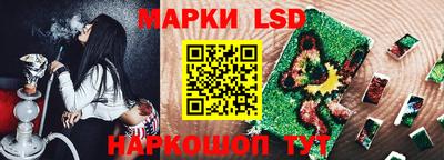 индика Обнинск