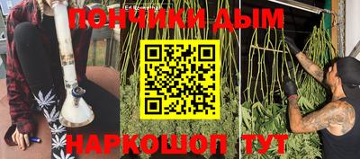 индика Обнинск