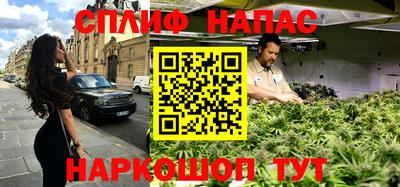 индика Обнинск